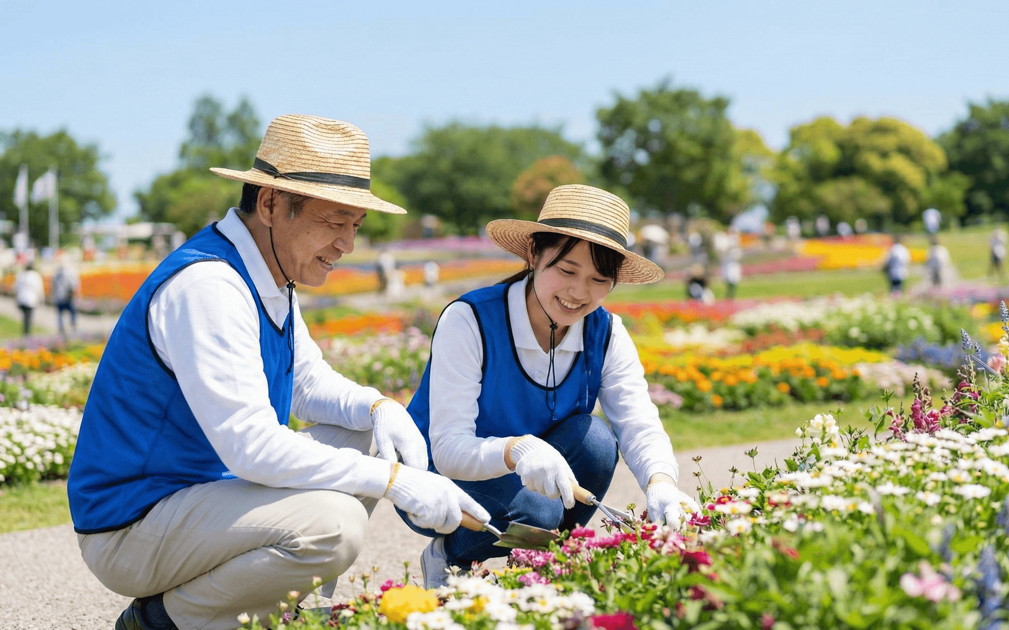 ボランティア活動の様子